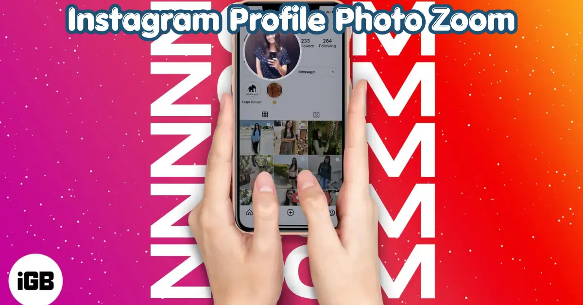 instagram profile picture download